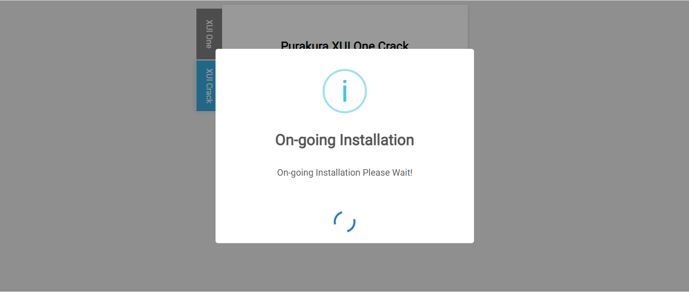 installer process.png