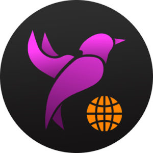 Web-Browser-Private-Browser-With-Free-VPN-300x300.jpg
