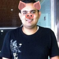 TellyPiggy.png TellyPiggy.png