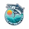 GulfstreamTV