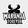 Wakanda XCIPTV